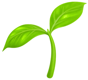 A small twig with two leaves